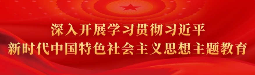 深入开展学习贯彻习近平新时代中国特色社会主义思想主题教育
