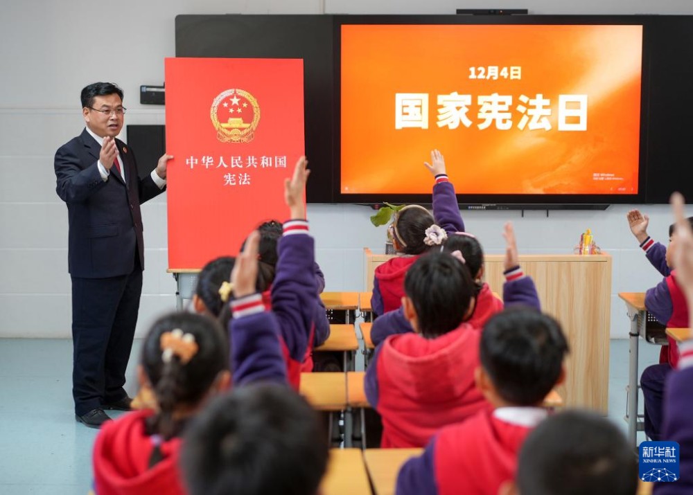 1764728451530271.jpg 8.jpg